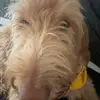 ANNIE - @annieryann.26 - TikTok
