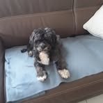 Annie Schwab - Facebook