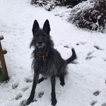 Annie Shaw - @annie.shaw.37625 - Instagram