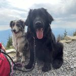 Annie & Shelly - @aussie.hovi_adventures - Instagram