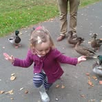 Annie Shirley - Facebook