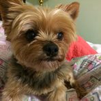 Annie Shipp - Facebook