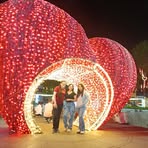 Annie Sierra - Facebook