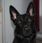 Annie Simard - Facebook