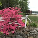 Annie Simard - Facebook