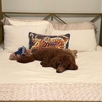 Annie Stockdale - @not_so_orphan_annie_stockdale - Instagram