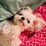 Annette Mashburn Stover - @jumpinlady - Instagram