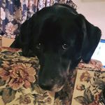 annie sutton - @anniesutton65 - Instagram