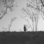 Annie Tse - @tse_annie - Instagram