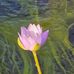 Annie Tse - Facebook
