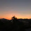 Annie Tse - @30772757561 - TikTok