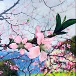 曼芊 - @annietse - Instagram
