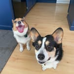 Annie and Tully - @annieandtully - Instagram