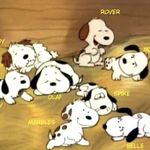 Annie Tung - @anniet_2000 - Instagram
