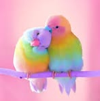 Annie Tung - Facebook