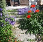 Annie Vann - Facebook