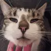 annievickers7 - @annievickers7 - TikTok