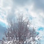 𝓐𝓷𝓷𝓲𝓮 𝓿𝓲𝓸𝓵𝓪 - @jesslive___ - Instagram