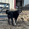Ann Hegwald - @anniehegwald - TikTok