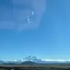 annieewald - @acewaldd - TikTok