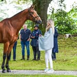 Annie Walsh - @a.walsh.eventing - Instagram
