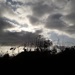 Annie Walters - @yo_annie_here - Instagram