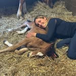 Annie Walters-Rogeri - @amwhorse - Instagram