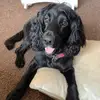 Annie ward - @annie.ward5 - TikTok
