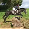annie_ware - @annie_ware123 - TikTok
