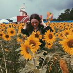 Annie Warner - @anniewarnerr - Instagram