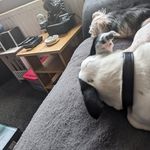 Annie Warren - @anniewarren382 - Instagram