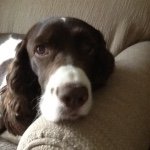 Annie Warren - @annie_warren2010 - Instagram