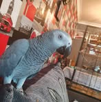 Annie Warren - Facebook