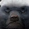 Annie Warren - @annie.warren - TikTok