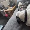 Annie Warren - @annie.warren1 - TikTok