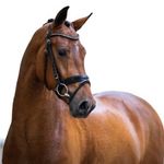 Annie Warren - @alw.equestrian - Instagram