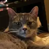 annie.warren00 - @annie.warren00 - TikTok
