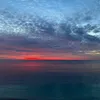 annie - @.anniewebb - TikTok
