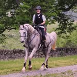 Annie Whelan - @whelanendurance - Instagram