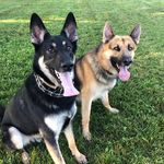 Mike Annie Whitehead - @anniemoringwhitehead - Instagram