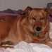 Anne Wilcox - Facebook