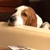 Annie Wilcox - Facebook
