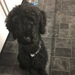 Annie Willis - @anniewillis379 - Instagram