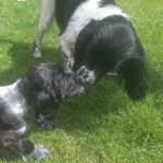 Annie And Winston - @annie_winston.101 - Instagram