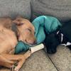 Annie Winson - @annie._.winston - TikTok