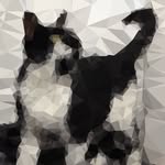 A N N I E - @anniethewirehair - Instagram
