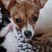 Annie Workman-Puskas - Facebook