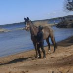 Annika Andersen - Facebook