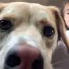 Annie - @annika_grayt - TikTok