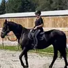annikalindgren457 - @annikalindgren457 - TikTok